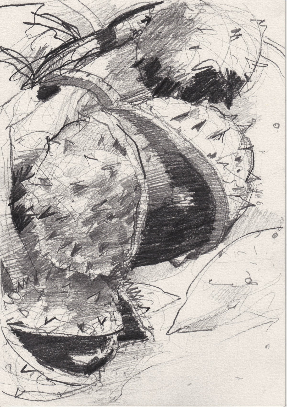 101 - SWEET CHESTNUT