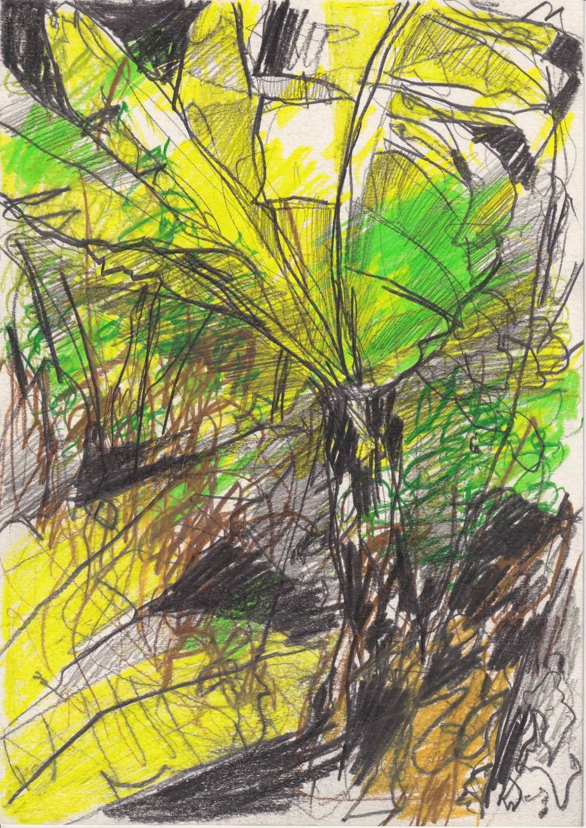 093 - EXTREME WEATHER IN THE PARADISE