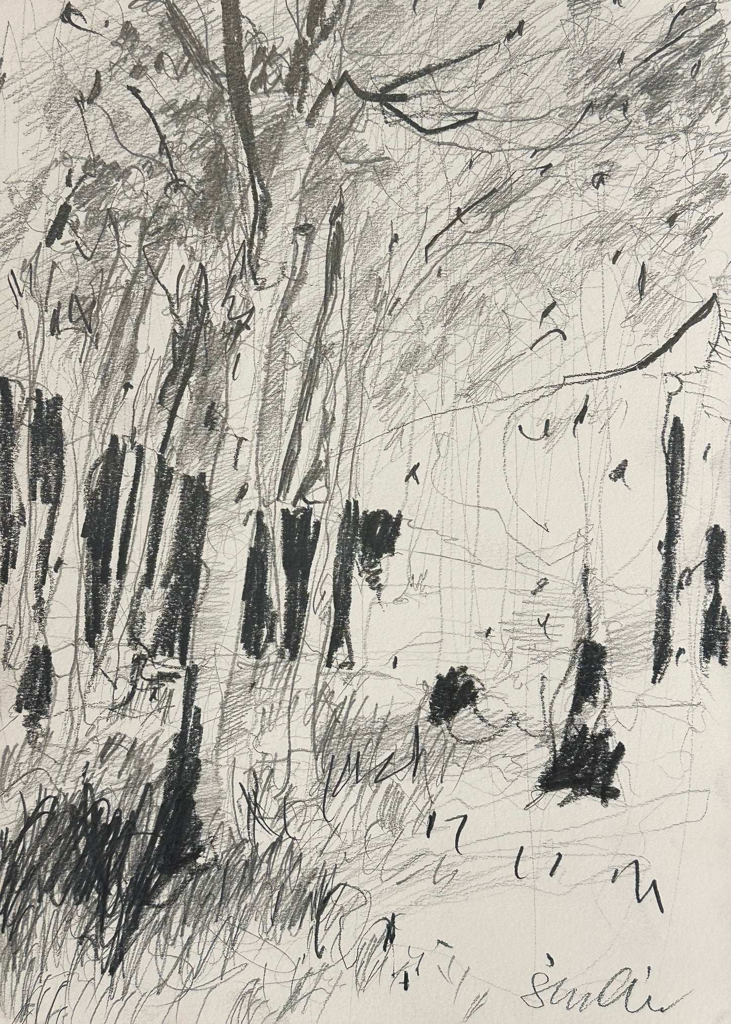 LANDSCAPE 5 - ABSTRACT FOREST - 21X29,7 CM