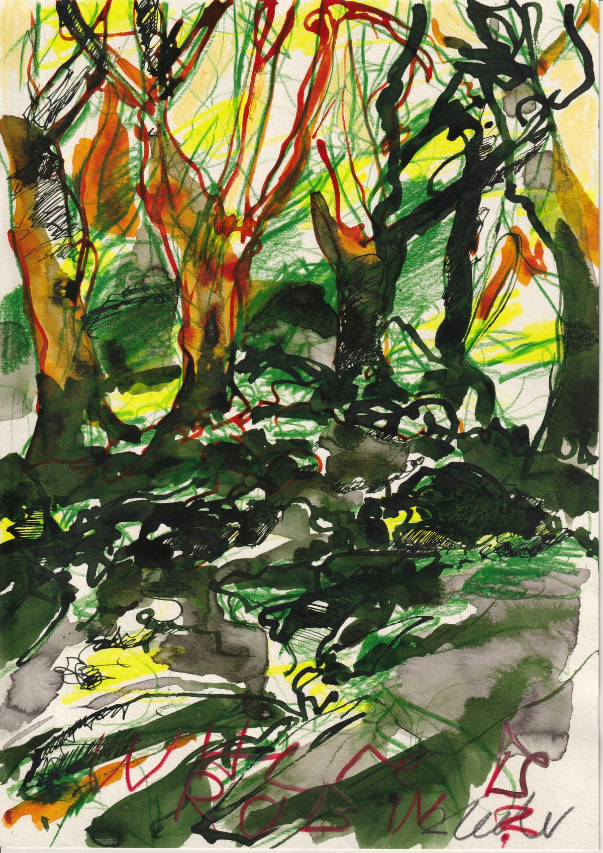 147 - MISTY FOREST