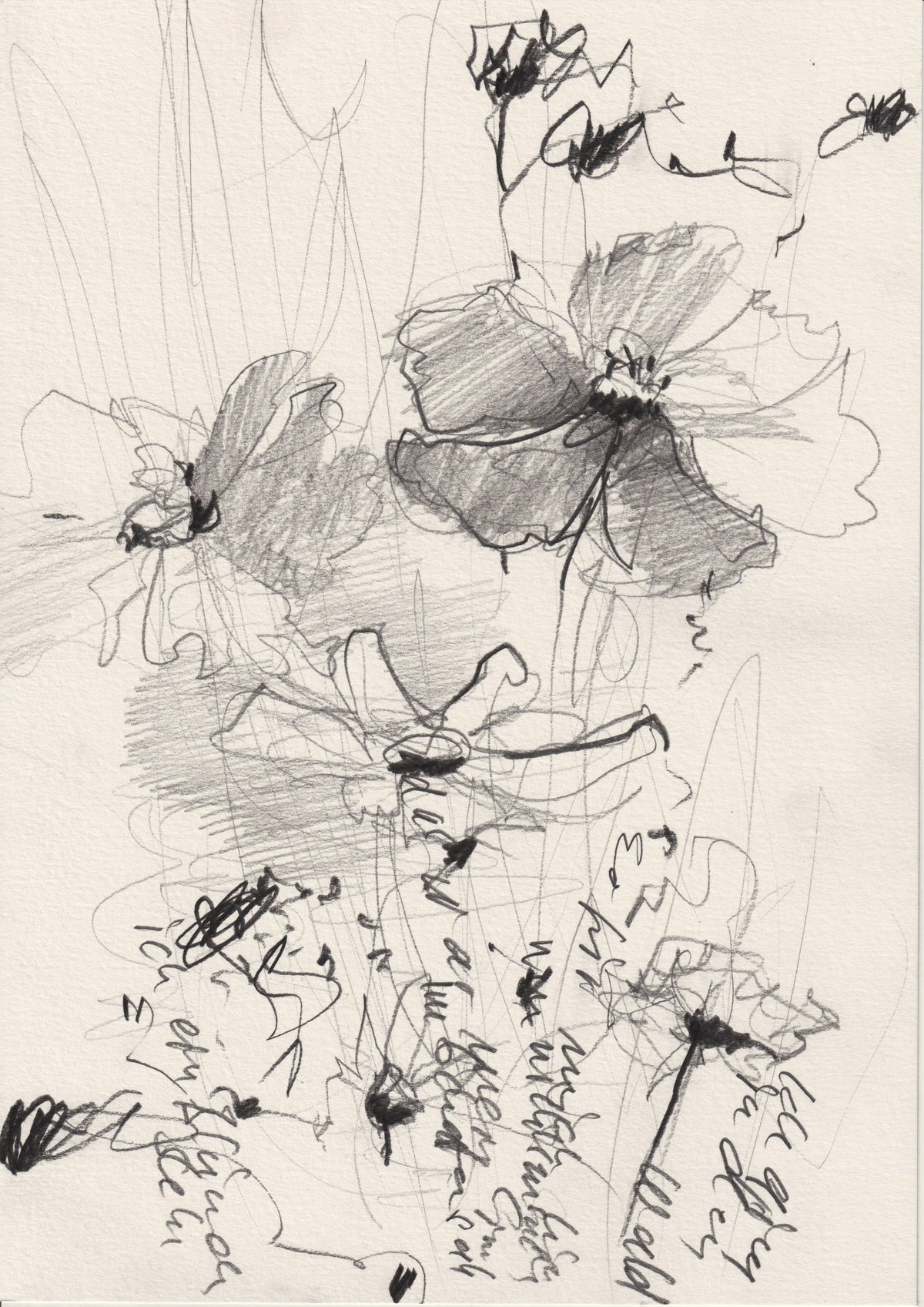 132 - FLOWER OF WORDS
