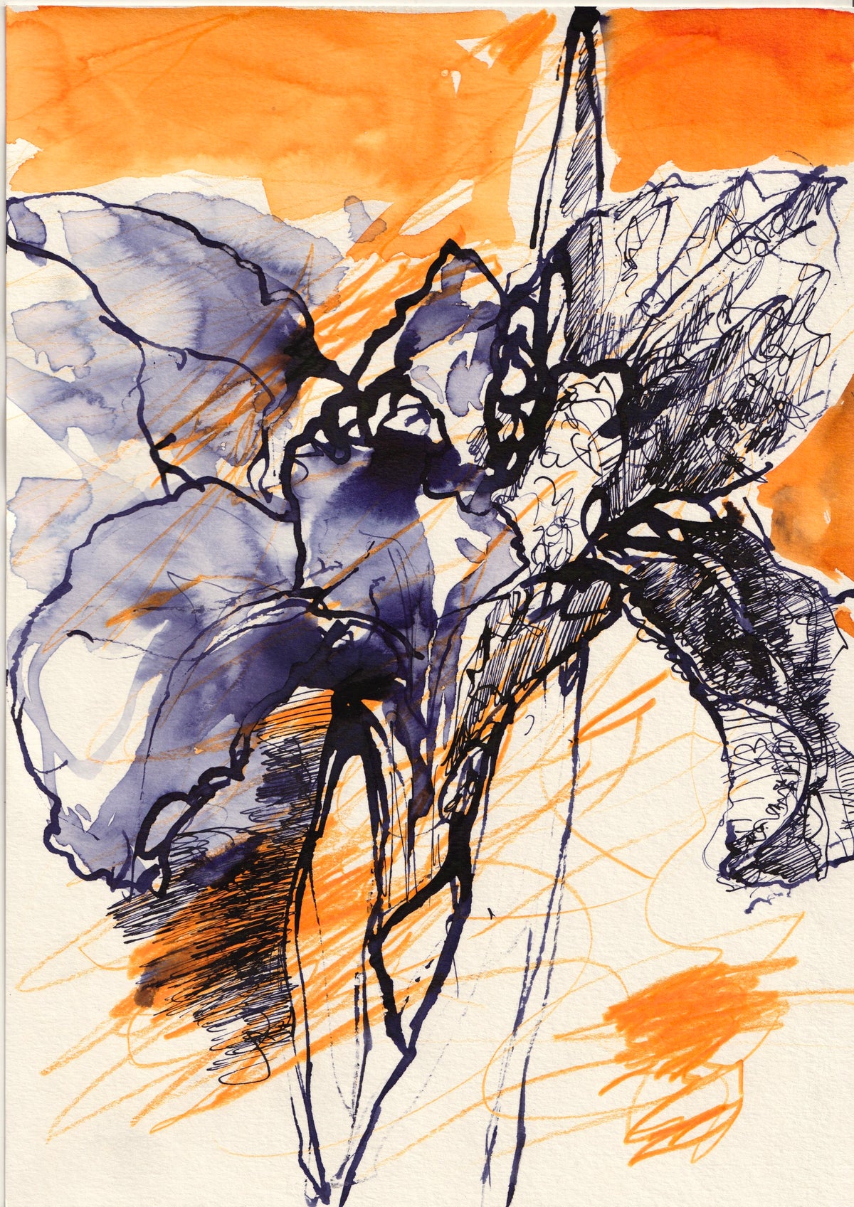 116 - BLUE LIA