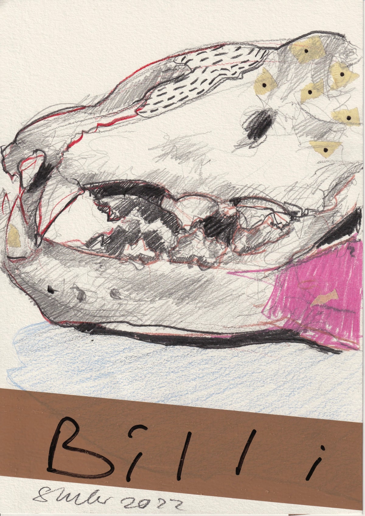 133 - BILLI