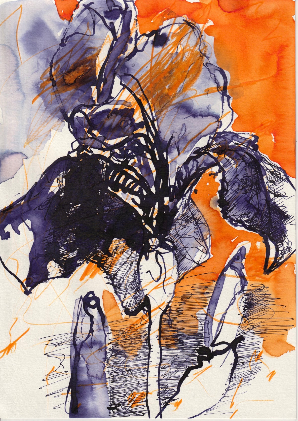 109 - LILLY