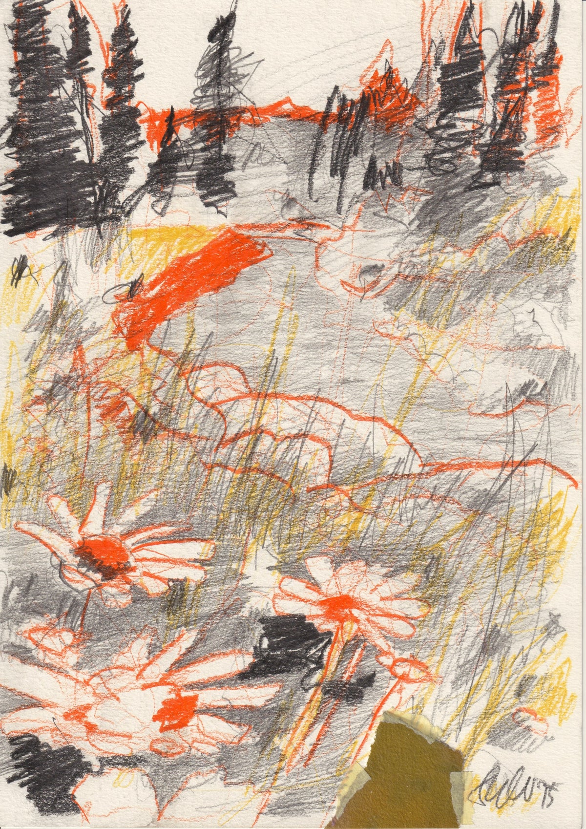 144 - DER BLUMIGE WEG INS UNGEWISSE