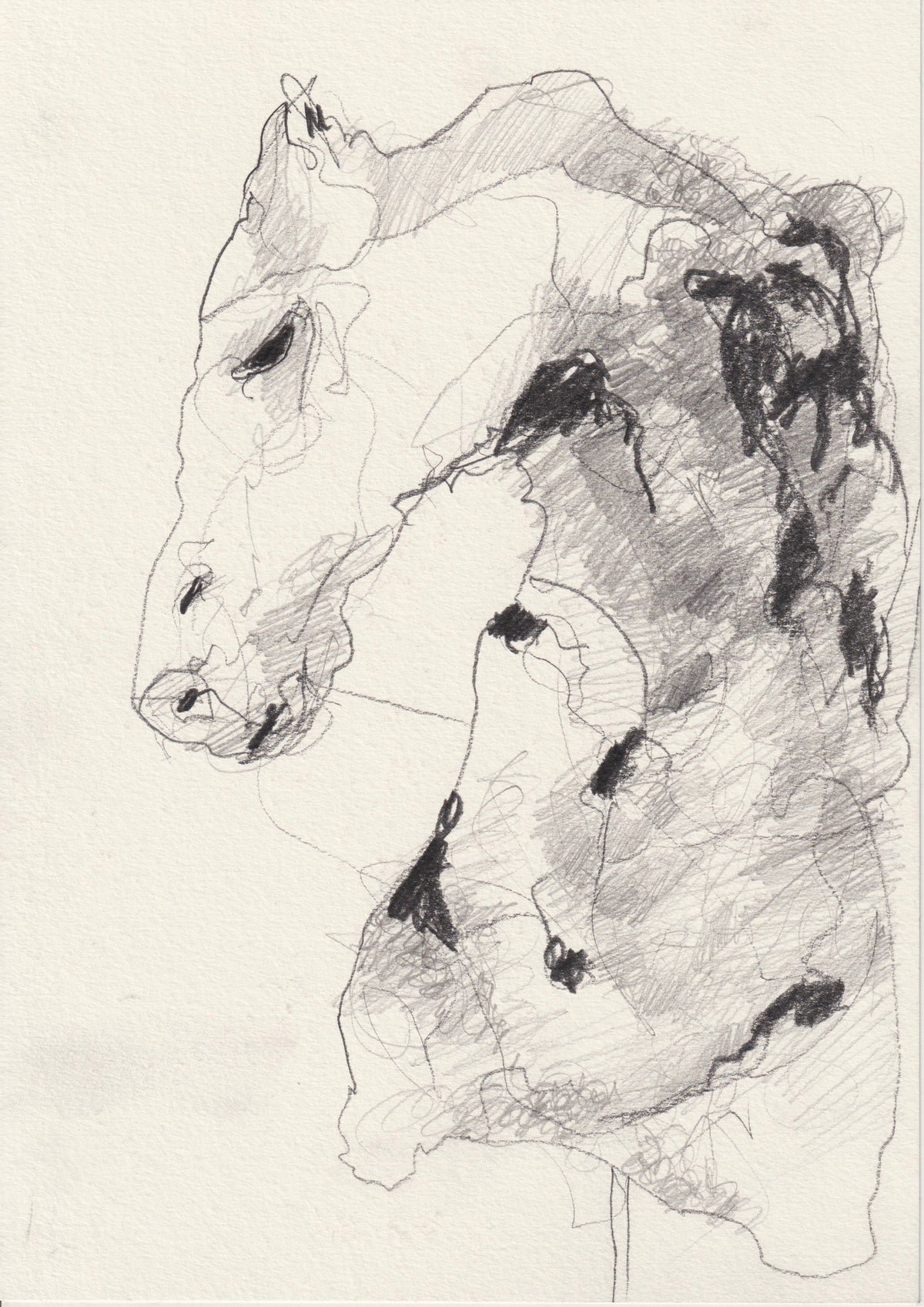 106 - SPRINGER