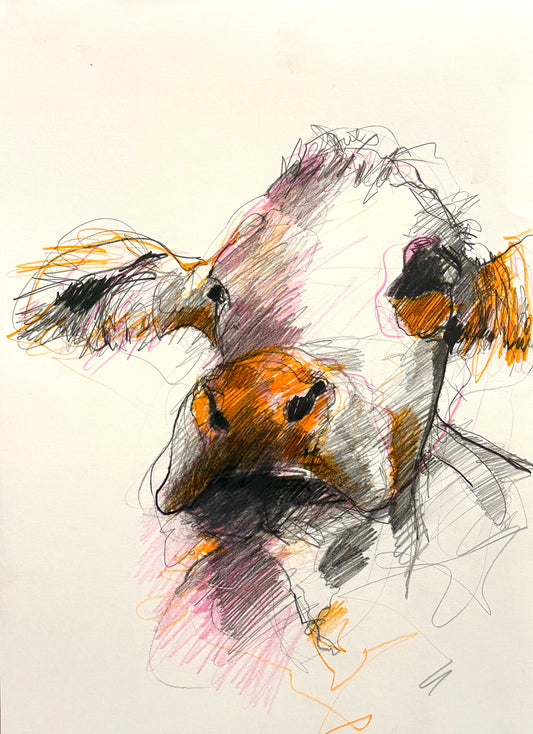 Orange Nose