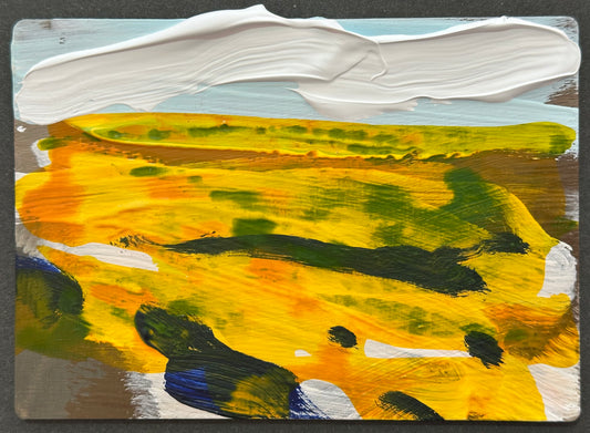 RAPSLANDSCHAFT 1
